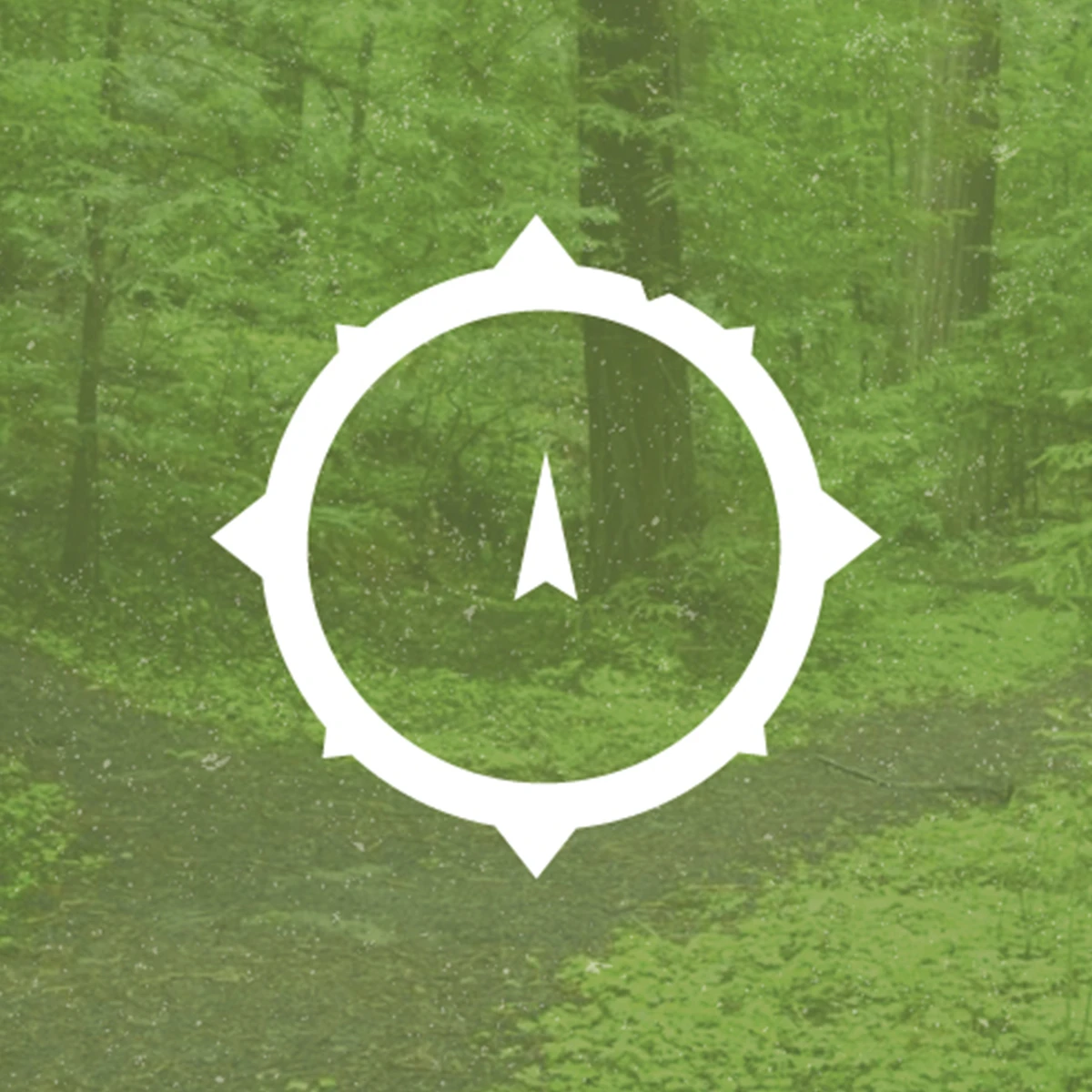 REMEMBRANCE project cover
